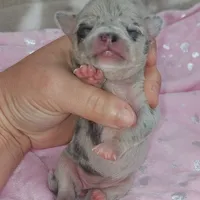 processed/fc04658a-1313-44c6-9a7c-fe09603c6d1f/facility/91fe5abe-bd03-47d0-b03f-a0b5fd5fb279