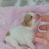 processed/fc04658a-1313-44c6-9a7c-fe09603c6d1f/facility/97cb2fba-1ba3-4208-9358-90aa9e079b58