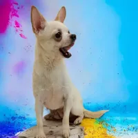 processed/fc04658a-1313-44c6-9a7c-fe09603c6d1f/facility/9fd3c72a-9aaa-4953-af94-2083a728d0ef