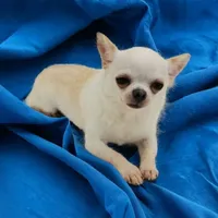 processed/fc04658a-1313-44c6-9a7c-fe09603c6d1f/facility/e8365f77-574d-444e-831e-9f543bd4c0a6