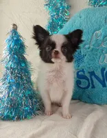 processed/fc04658a-1313-44c6-9a7c-fe09603c6d1f/listing/897b0edf-4d6a-472b-9fc9-27d8db6d9776/0e513639-4245-41f3-84c1-39ba563cbc70