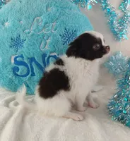 processed/fc04658a-1313-44c6-9a7c-fe09603c6d1f/listing/897b0edf-4d6a-472b-9fc9-27d8db6d9776/867b285d-ebcf-4e5a-b741-de32ac602d76