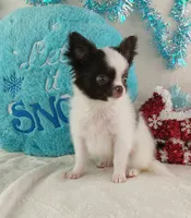 processed/fc04658a-1313-44c6-9a7c-fe09603c6d1f/listing/897b0edf-4d6a-472b-9fc9-27d8db6d9776/ae1f42a6-8785-49bc-898a-8a0b1bee7f3d