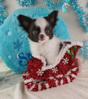 processed/fc04658a-1313-44c6-9a7c-fe09603c6d1f/listing/897b0edf-4d6a-472b-9fc9-27d8db6d9776/b02b38c6-68dc-4e5d-8a64-24cd3031312c