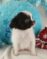 processed/fc04658a-1313-44c6-9a7c-fe09603c6d1f/listing/897b0edf-4d6a-472b-9fc9-27d8db6d9776/d0cc8c1d-7db4-48b2-a33d-69a380fac04c