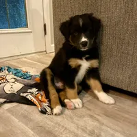 processed/fc12a7cf-a0e1-4f69-bc93-9ce2531837d6/facility/01477a26-ef3c-4829-9f61-1a1f61e43c75