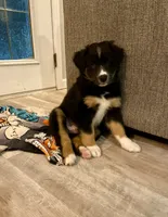 processed/fc12a7cf-a0e1-4f69-bc93-9ce2531837d6/facility/01477a26-ef3c-4829-9f61-1a1f61e43c75