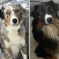 processed/fc12a7cf-a0e1-4f69-bc93-9ce2531837d6/facility/4bacd4d0-1422-4358-9125-b424825a0687