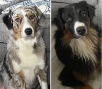 processed/fc12a7cf-a0e1-4f69-bc93-9ce2531837d6/facility/4bacd4d0-1422-4358-9125-b424825a0687