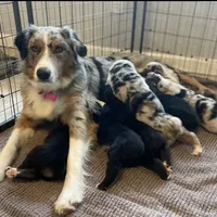 processed/fc12a7cf-a0e1-4f69-bc93-9ce2531837d6/facility/6f0aa9c6-37db-4450-9083-c4f35500936f