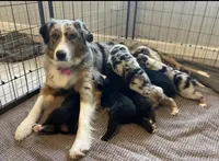 processed/fc12a7cf-a0e1-4f69-bc93-9ce2531837d6/facility/6f0aa9c6-37db-4450-9083-c4f35500936f