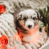 processed/fc12a7cf-a0e1-4f69-bc93-9ce2531837d6/facility/c529f8f8-153f-4ecd-937a-2927bb229e73