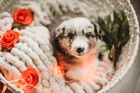 processed/fc12a7cf-a0e1-4f69-bc93-9ce2531837d6/facility/c529f8f8-153f-4ecd-937a-2927bb229e73