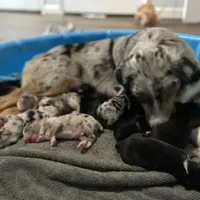 processed/fc12a7cf-a0e1-4f69-bc93-9ce2531837d6/facility/cb0561fa-375f-4602-9157-3f05c448605b