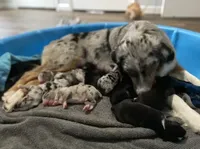 processed/fc12a7cf-a0e1-4f69-bc93-9ce2531837d6/facility/cb0561fa-375f-4602-9157-3f05c448605b