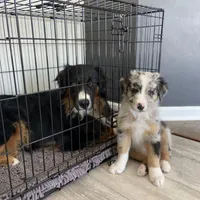 processed/fc12a7cf-a0e1-4f69-bc93-9ce2531837d6/facility/cb1238f9-74ef-4d09-b49e-cd89a754b9c8