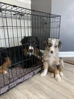 processed/fc12a7cf-a0e1-4f69-bc93-9ce2531837d6/facility/cb1238f9-74ef-4d09-b49e-cd89a754b9c8