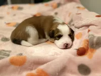 processed/fc12a7cf-a0e1-4f69-bc93-9ce2531837d6/listing/46b1324a-d2bd-4d8b-ba0e-7191d16b2553/10b12ea0-df92-4bc7-b3ff-f706a50064b2