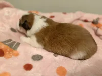 processed/fc12a7cf-a0e1-4f69-bc93-9ce2531837d6/listing/46b1324a-d2bd-4d8b-ba0e-7191d16b2553/19345c19-0aeb-43e6-8467-5142074f4b73