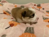 processed/fc12a7cf-a0e1-4f69-bc93-9ce2531837d6/listing/46b1324a-d2bd-4d8b-ba0e-7191d16b2553/200e1b85-da61-4ff1-9272-eee09105f339