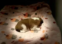 processed/fc12a7cf-a0e1-4f69-bc93-9ce2531837d6/listing/46b1324a-d2bd-4d8b-ba0e-7191d16b2553/6af5ea85-137c-4c04-bd6f-ce4f0b5340e6