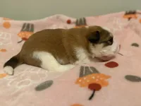 processed/fc12a7cf-a0e1-4f69-bc93-9ce2531837d6/listing/46b1324a-d2bd-4d8b-ba0e-7191d16b2553/b1d460d0-f24a-435d-a06a-d43cc25a12df