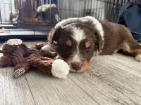 processed/fc12a7cf-a0e1-4f69-bc93-9ce2531837d6/listing/60c59d32-3f7c-4190-aa29-751463d25460/905c06fa-fbe6-4d47-be13-41e86f562af6