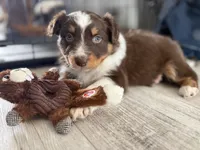 processed/fc12a7cf-a0e1-4f69-bc93-9ce2531837d6/listing/60c59d32-3f7c-4190-aa29-751463d25460/a3e77a78-c5c8-4bad-bc4f-e8eb66ec59fe