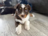 processed/fc12a7cf-a0e1-4f69-bc93-9ce2531837d6/listing/60c59d32-3f7c-4190-aa29-751463d25460/e4ed0f0d-5457-4f17-bfeb-2a8078caea37