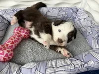 processed/fc12a7cf-a0e1-4f69-bc93-9ce2531837d6/listing/6ed334f8-73a4-424a-9192-1a703d6d1a4f/814c5c7b-69ff-44e8-9e11-5a4fd1848444