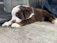 processed/fc12a7cf-a0e1-4f69-bc93-9ce2531837d6/listing/6ed334f8-73a4-424a-9192-1a703d6d1a4f/8d0a7aaa-1452-441e-b004-fe22169c8cd4