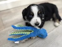 processed/fc12a7cf-a0e1-4f69-bc93-9ce2531837d6/listing/a4a03cf6-d3b0-4afb-8819-c0168d851dc6/94b7f61e-63d8-4e2d-9e35-b454f1c3144d