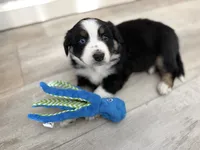 processed/fc12a7cf-a0e1-4f69-bc93-9ce2531837d6/listing/a4a03cf6-d3b0-4afb-8819-c0168d851dc6/e2c487c8-f3fa-4164-ba0b-3ee4d0169643