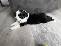 processed/fc12a7cf-a0e1-4f69-bc93-9ce2531837d6/listing/b1e02be6-20e3-4e31-9047-cccee64074c0/2952e58e-96dd-4668-9837-b8bad9a85785