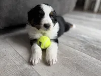 processed/fc12a7cf-a0e1-4f69-bc93-9ce2531837d6/listing/b1e02be6-20e3-4e31-9047-cccee64074c0/fb554a2f-166d-4fcd-8e90-a34acbd94c06