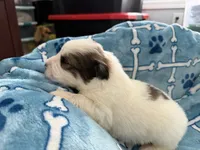 processed/fc12a7cf-a0e1-4f69-bc93-9ce2531837d6/listing/cb63109a-35ed-4a6a-87ed-665d268fb557/331e952e-5185-4882-92c3-0b1bbbe71033