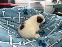 processed/fc12a7cf-a0e1-4f69-bc93-9ce2531837d6/listing/cb63109a-35ed-4a6a-87ed-665d268fb557/6d4ef2c7-9e0a-4ae4-9504-aba2c4461645