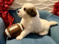 processed/fc12a7cf-a0e1-4f69-bc93-9ce2531837d6/listing/cb63109a-35ed-4a6a-87ed-665d268fb557/f364eae8-b649-4d7c-a2be-1373c5403045