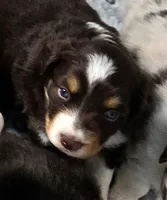 processed/fc12a7cf-a0e1-4f69-bc93-9ce2531837d6/listing/d685d0b0-cc5c-4ce8-b1f2-2c8e768f7ba4/2ab7e76c-8184-4d8a-a4f4-426b67da2821