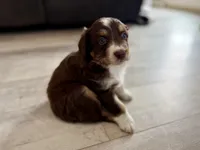 processed/fc12a7cf-a0e1-4f69-bc93-9ce2531837d6/listing/d685d0b0-cc5c-4ce8-b1f2-2c8e768f7ba4/7988720f-63d7-42ac-a0a2-a18207c21bd7