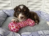 processed/fc12a7cf-a0e1-4f69-bc93-9ce2531837d6/listing/d685d0b0-cc5c-4ce8-b1f2-2c8e768f7ba4/9fc69cbf-434e-47b8-aca1-f2bf4de5099b