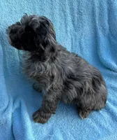 processed/fc159efb-3277-4073-92ad-3f96e20c6e21/listing/956e85a7-84ab-41ba-9298-9ab1c09b6ba0/07db5214-e45b-48d9-b3a9-5a09c99febc3