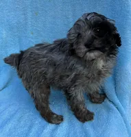 processed/fc159efb-3277-4073-92ad-3f96e20c6e21/listing/956e85a7-84ab-41ba-9298-9ab1c09b6ba0/4845a477-8e14-4b38-bc31-50b5457d2b6e