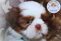 processed/fc16e7ac-e849-4a9a-abdf-1b5e89422052/listing/b4c3e24e-744f-44a6-95b5-5e3e1c544656/f471bb70-bb97-4b68-b1e7-24270b7f7131