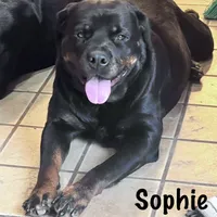 processed/fc1efcc8-8dac-4a3c-86f2-810cd670a13d/facility/072adbcf-b2ad-4142-818f-aecca732b3f2