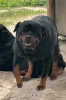 processed/fc1efcc8-8dac-4a3c-86f2-810cd670a13d/facility/0c057233-80ca-4826-8709-c5e427ba8d3c