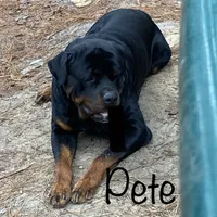 processed/fc1efcc8-8dac-4a3c-86f2-810cd670a13d/facility/4471fde0-e2ca-404d-994c-11f65b403e6c