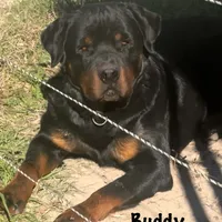 processed/fc1efcc8-8dac-4a3c-86f2-810cd670a13d/facility/4c7fba27-706e-4032-a12f-53ca82dd30f8