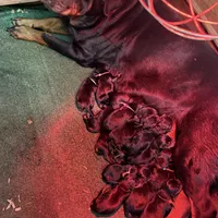 processed/fc1efcc8-8dac-4a3c-86f2-810cd670a13d/facility/7f1ab552-d121-45aa-880f-13117eec539f