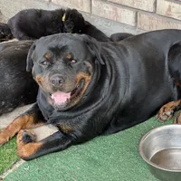 processed/fc1efcc8-8dac-4a3c-86f2-810cd670a13d/facility/a6b18960-0812-4570-be1a-03449698116c